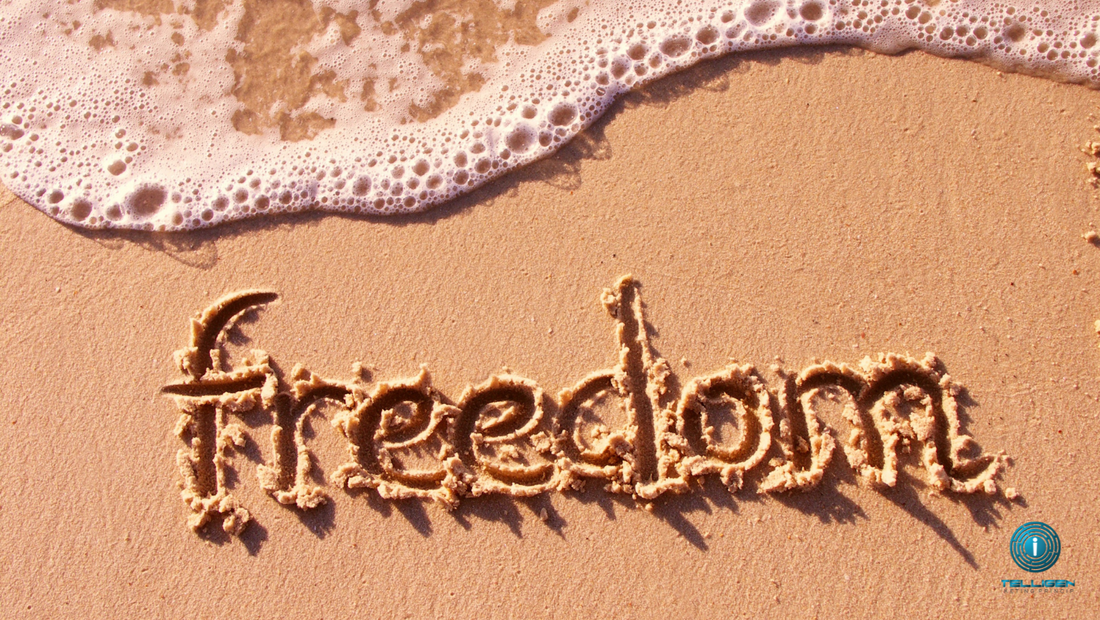 How My Team and Systems Have Allowed Me the Freedom to Do What I Love